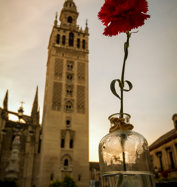Sevilla y su luz